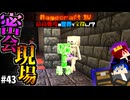 【怒りの宝探しマイクラ】クリーパーとスケルトンの密会現場【#RAGECRAFT4】 day43【実況】≪#PRAZOKS≫