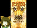 ゴールド神社.mp4