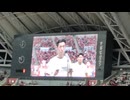 アルビレックス新潟
