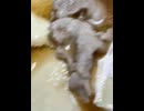 74854297554__8D3487D0-C1BE-41E5-8162-18697C50AE07