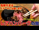 【生肉】レアハンバーグって大丈夫？危険性を解説します