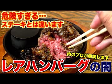 【生肉】レアハンバーグって大丈夫？危険性を解説します
