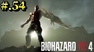 【BIOHAZARD_RE:4】ヘタレが大統領の娘のパンツは見れないけど頑張る【完全初見】#.54