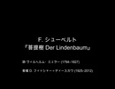 【対訳歌詞動画】F.シューベルト D 911-5 『菩提樹 Der Lindenbaum』