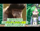 メスガキ先生とヤンデレちゃん横長版４６「フサオマキザル」