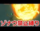 ゾナウ禁止縛りpart47【ティアキン/制限プレイ/ゼルダの伝説ティアーズオブザキングダム】