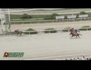 2024年9月19日園田競馬7R ファイティングジョッキー賞(C2) リケアヴェール