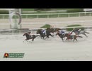 2024年9月19日園田競馬8R エキサイティングジョッキー賞(C1) ベラジオサキ