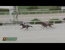 2024年9月19日園田競馬10R チャンピオンジョッキー賞(B1・B2) コンドリュール