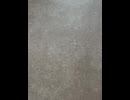 74858724046__D7252F14-6ADA-4DE3-9EB3-5B71B40B0677