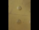 74858734093__4A44E4A0-727C-4E5F-AD17-A902DC08EE92