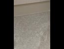 74858789533__15406500-C6B3-4D98-A062-078F37189944