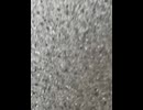 74858814577__0EB3E43A-577D-43DA-995B-F3EC90A06C54