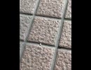 74858818413__6CF0CE1B-B300-4B1B-8B34-AC29947C52FA