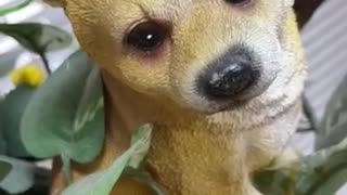 74858979689__9D344D2C-7855-49E8-8E95-45312DCA21E3