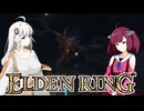 【エルデンDLC】きりきずは、影の地で。part13