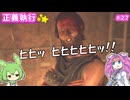 【ドラゴンズドグマ2】四国めたんのマジシャン街道 #27【VOICEVOX実況】