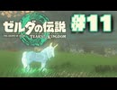 【ぽつぽつ実況 #11】洞窟【ティアーズオブザキングダム】