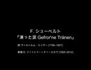 【対訳歌詞動画】F. シューベルト、D 911-3 『凍った涙 Gefrorne Tränen』