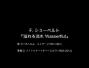 【対訳歌詞動画】F. シューベルト、D 911-6 『溢れる流れ Wasserflut』