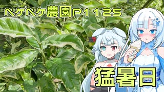 2024年9月21日　農作業日誌P1125　お久しぶりの出稼ぎ先で青島ミカンの摘果