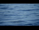 光を見つけた PV