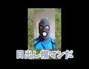 【英語禁止】絶対に罰ゲームを受けたくないサンダーズメンバーが本気で鬼ごっこをした結果！？