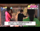 しぞーか37