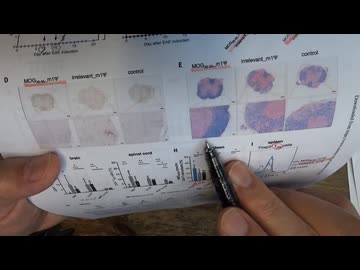 修飾ウリジンRNAワクチンが麻薬だという理由