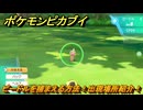 ポケモンピカブイ　ビードルを捕まえる方法！出現場所紹介！図鑑コンプへの道！　【ポケットモンスター Let's Go! ピカチュウ・イーブイ】