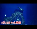 【8月32日の水族館】無限に続く水族館から脱出を目指す3D間違い探しゲームが面白すぎる件【1日目】