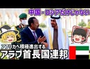 中国だけじゃない！アフリカ進出を加速する国アラブ首長国連邦について【ゆっくり解説】