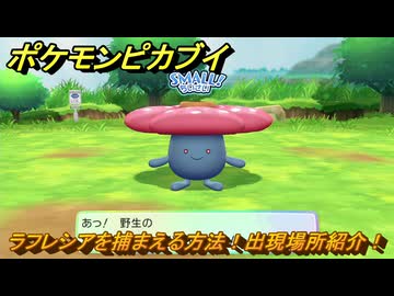 ポケットモンスター Pokemon ポケモン ピカチュウ イーブイ ラフレシア ポケットモンスター Pokemon ポケモン ピカチュウ イーブイ
