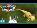 【DQ9＊実況】全力で守るために初見で大冒険！第二十三章