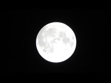 月見団子【長火鉢とおっさん367】