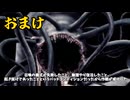 【クトゥルフ神話TRPG】昏き波濤の底に　おまけ