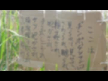 ここは（２号.）ミュージカル　feat. sunoAI