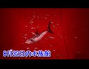【8月32日の水族館】無限に続く水族館から脱出を目指す3D間違い探しゲームが面白すぎる件【2日目】