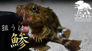 ココキャン 第210話『何が何でも鯵が釣れない男』