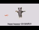 エビは揉んで無いけど楽しそうな猫