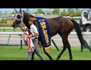 [競馬] 菊への道 [メイショウタバル]