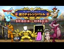 ドラクエ10 モンスターバトルロード 協力チャレンジバトル 2024.09.18
