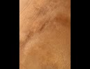 74884813742__17CEB9E6-A5C7-42F5-9EB2-7C8C7F808314