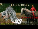 騎乗戦！小林、ガイウスとの一騎討ち！ #28 DLC編【ELDEN RING】