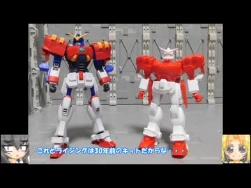 HG ガンダムマックスター ガンダムローズ ゴッドガンダム 1/144 ライジングガンダム マックスター ゆっくりプラモ動画