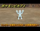 ポケモンピカブイ　ワンリキーを捕まえる方法！出現場所紹介！図鑑コンプへの道！　【ポケットモンスター Let's Go! ピカチュウ・イーブイ】