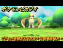 ポケモンピカブイ　ピジョットを捕まえる方法！出現場所紹介！図鑑コンプへの道！　【ポケットモンスター Let's Go! ピカチュウ・イーブイ】