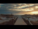 Walk on the beach at sunset