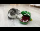 ホモと見る猫vsワニワニパニック