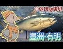 東京ちどり足11 有明・豊洲編【COEIROINK】